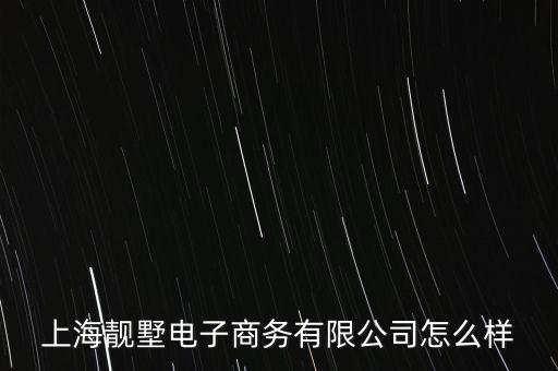 上海靚墅電子商務(wù)有限公司怎么樣