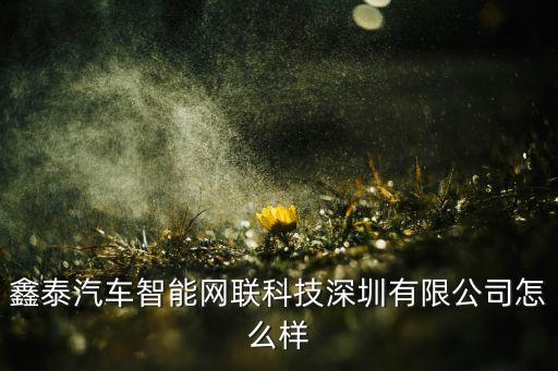 寧波鑫泰智能科技做什么的，寧波坤鵬是一家什么公司他們業(yè)務(wù)是做什么的