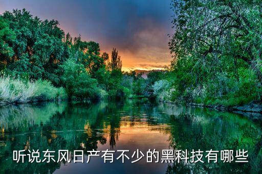 聽(tīng)說(shuō)東風(fēng)日產(chǎn)有不少的黑科技有哪些