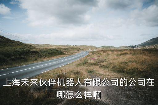 上海未來伙伴機(jī)器人有限公司的公司在哪怎么樣啊