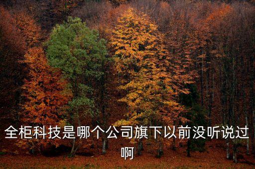 全柜科技是哪個公司旗下以前沒聽說過啊