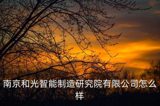 南京和光智能制造研究院有限公司怎么樣