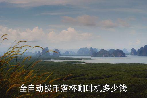 全自動投幣落杯咖啡機多少錢