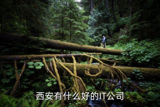 西安有哪些智能科技，西安有什么好的IT公司