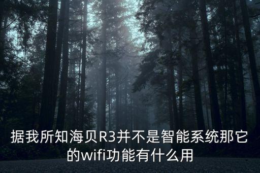 據(jù)我所知海貝R3并不是智能系統(tǒng)那它的wifi功能有什么用