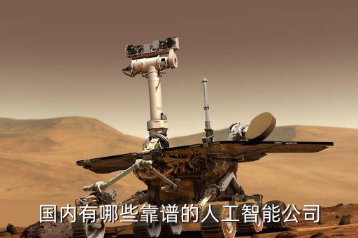 國內(nèi)有哪些靠譜的人工智能公司