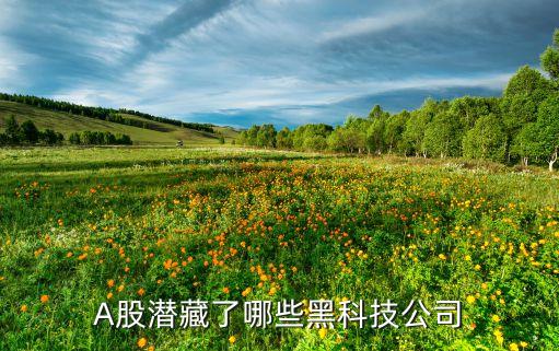 A股潛藏了哪些黑科技公司