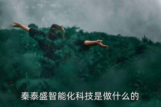 秦泰盛智能化科技是做什么的