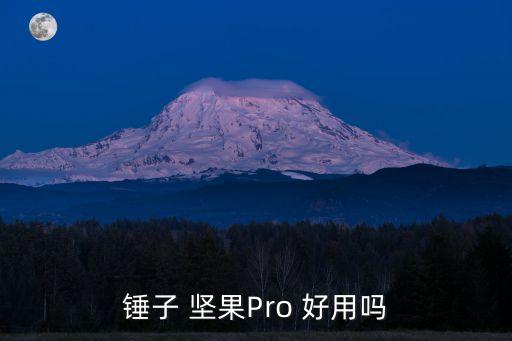 錘子 堅(jiān)果Pro 好用嗎