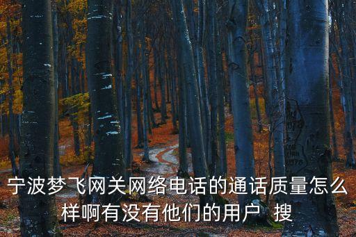 寧波夢飛網(wǎng)關(guān)網(wǎng)絡(luò)電話的通話質(zhì)量怎么樣啊有沒有他們的用戶  搜