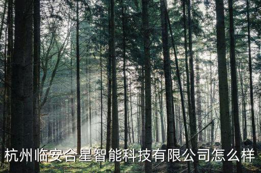 皖星智能科技怎么樣，淘寶店千星智能科技的無(wú)線智能語(yǔ)音鼠標(biāo)真的好用嗎怎么樣