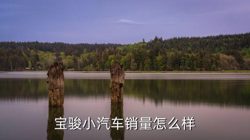 寶駿小汽車銷量怎么樣