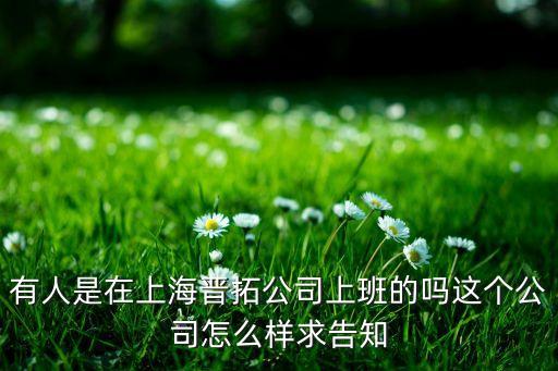 有人是在上海晉拓公司上班的嗎這個公司怎么樣求告知