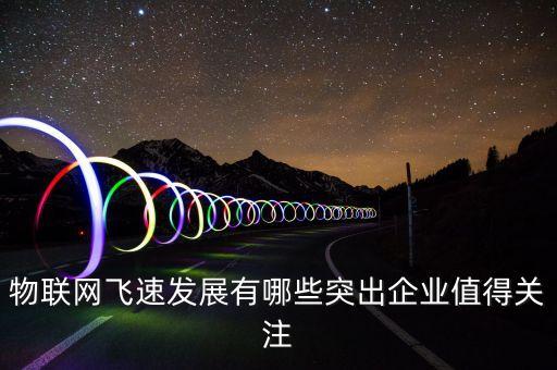 物聯(lián)網(wǎng)飛速發(fā)展有哪些突出企業(yè)值得關(guān)注