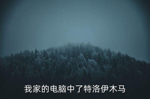 我家的電腦中了特洛伊木馬