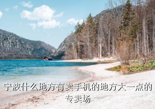 寧波什么地方有賣手機(jī)的地方大一點(diǎn)的專賣場(chǎng)
