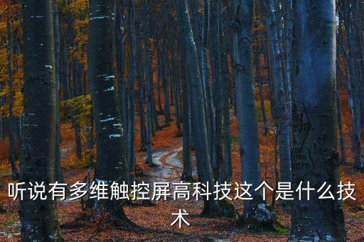 聽說有多維觸控屏高科技這個是什么技術