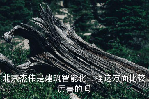北京杰偉是建筑智能化工程這方面比較厲害的嗎