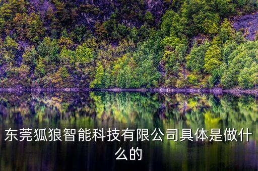 東莞狐狼智能科技有限公司具體是做什么的