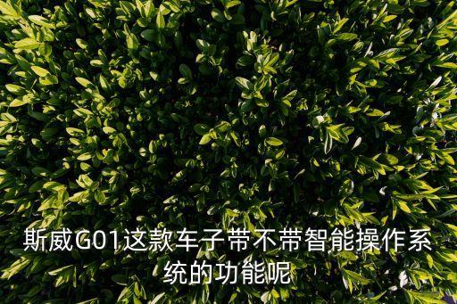 斯威G01這款車子帶不帶智能操作系統(tǒng)的功能呢