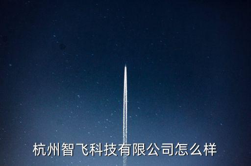 杭州啟飛智能科技如何，想了解一下杭州Rokid怎么樣