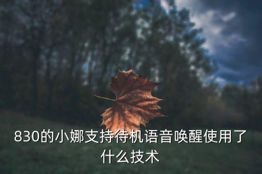 歐米智能科技對講機(jī)怎么用，830的小娜支持待機(jī)語音喚醒使用了什么技術(shù)