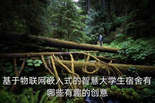 基于物聯(lián)網(wǎng)嵌入式的智慧大學(xué)生宿舍有哪些有趣的創(chuàng)意