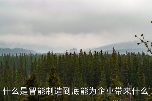 什么是智能制造到底能為企業(yè)帶來什么