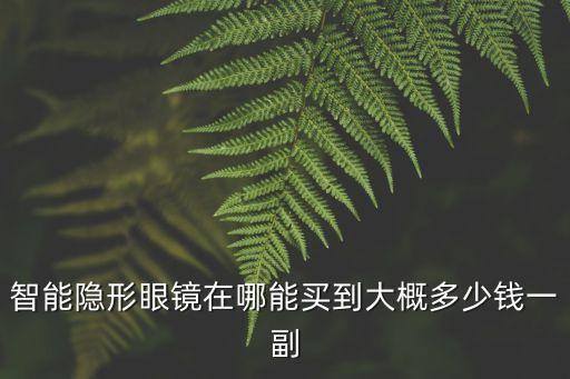 智能隱形眼鏡在哪能買到大概多少錢一副