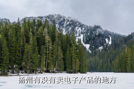 揚州東南智能科技城在哪里，揚州哪里有智能手機賣啊