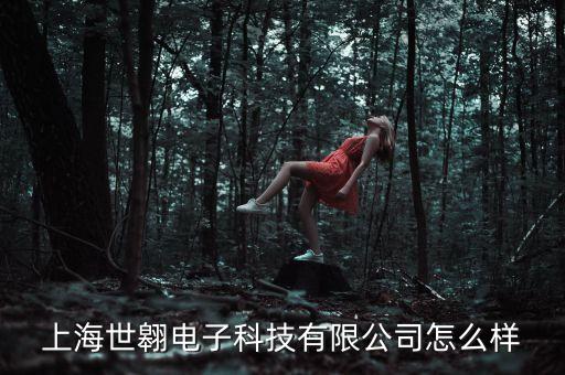 上海世翱電子科技有限公司怎么樣