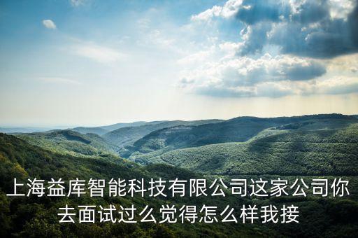 上海益庫智能科技有限公司這家公司你去面試過么覺得怎么樣我接