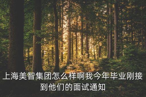 和美智能科技怎么樣啊上海，上海美智集團(tuán)怎么樣啊我今年畢業(yè)剛接到他們的面試通知