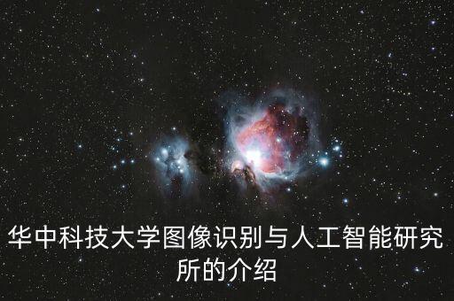 華中科技大學(xué)圖像識(shí)別與人工智能研究所的介紹
