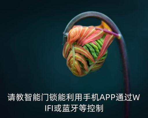 科技牛智能鎖怎么聯(lián)網(wǎng)，請教智能門鎖能利用手機APP通過WIFI或藍牙等控制