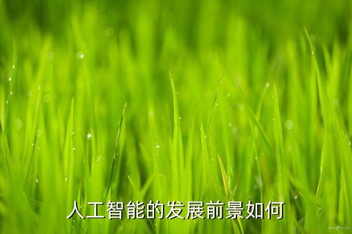 智能科技應(yīng)該如何發(fā)展，在未來的智能科技領(lǐng)域科技將會朝向哪一方面發(fā)展