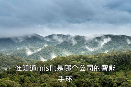 誰(shuí)知道m(xù)isfit是哪個(gè)公司的智能手環(huán)