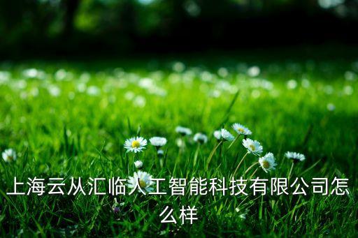 上海云從匯臨人工智能科技有限公司怎么樣
