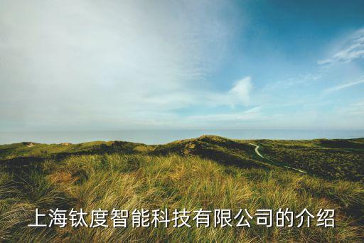 上海鈦度智能科技有什么，上海鈦度智能科技有限公司的介紹