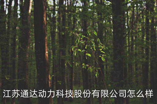 江蘇通達(dá)動(dòng)力科技股份有限公司怎么樣