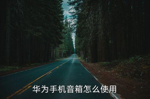 華為手機音箱怎么使用