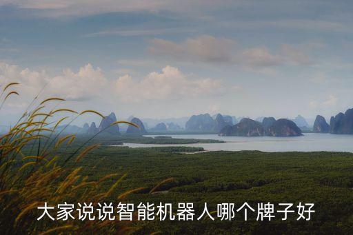 智能科技機(jī)器人哪個(gè)牌子好，大家說(shuō)說(shuō)智能機(jī)器人哪個(gè)牌子好