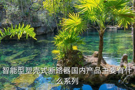智能型塑殼式斷路器國(guó)內(nèi)產(chǎn)品主要有什么系列