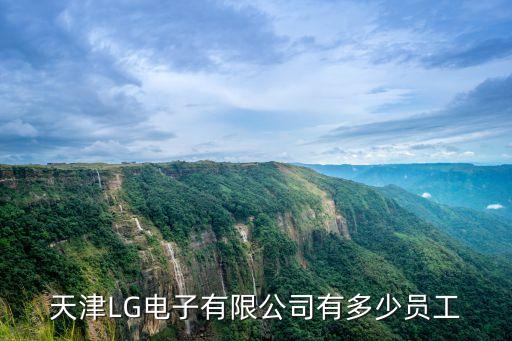 天津LG電子有限公司有多少員工