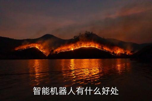 智能科技有什么好，有沒有什么高科技好玩的東西比如遙控飛機智能機器人還有沒有其