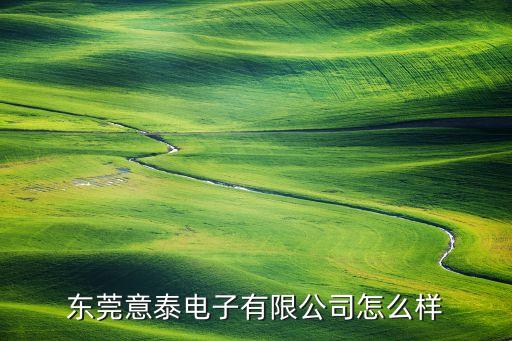 東莞意泰電子有限公司怎么樣