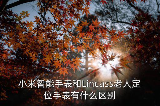小米智能手表有哪些黑科技，小米手表有什么功能