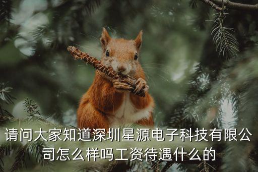請(qǐng)問(wèn)大家知道深圳星源電子科技有限公司怎么樣嗎工資待遇什么的