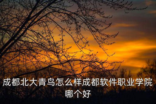 成都北大青鳥怎么樣成都軟件職業(yè)學(xué)院哪個好