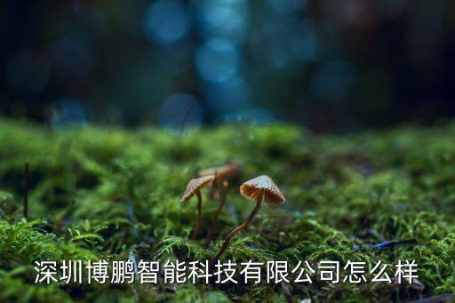 深圳博鵬智能科技有限公司怎么樣